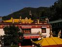 Hillside monastery below McLeod Ganj.